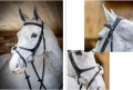 LeMieux Grackle Bridle